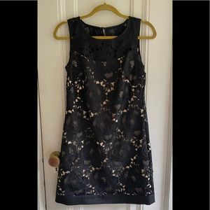 White House Black Market lace shift dress